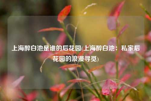 上海醉白池是谁的后花园(上海醉白池：私家后花园的浪漫寻觅)