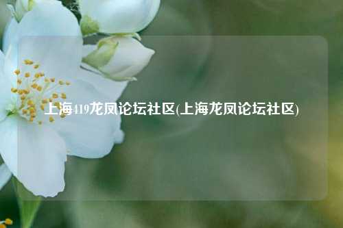 上海419龙凤论坛社区(上海龙凤论坛社区)