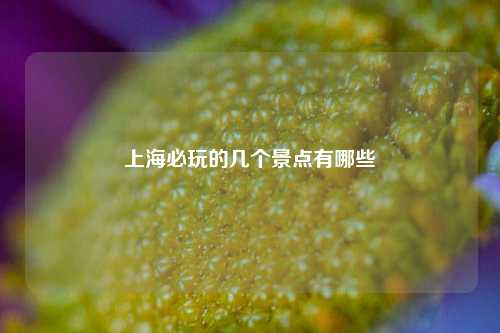 上海必玩的几个景点有哪些