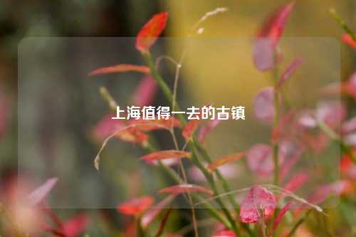 上海值得一去的古镇
