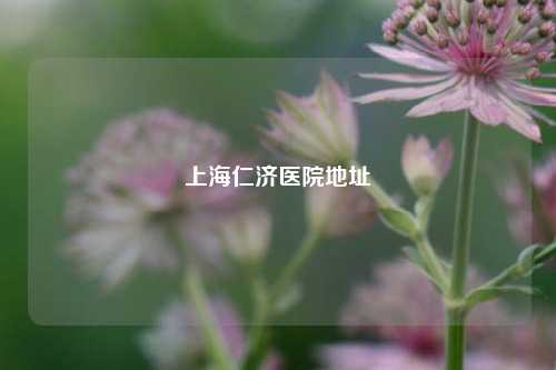 上海仁济医院地址