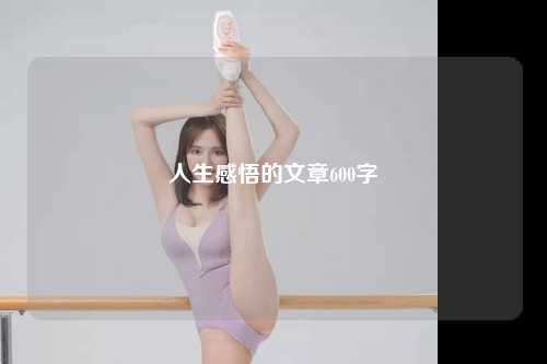 人生感悟的文章600字