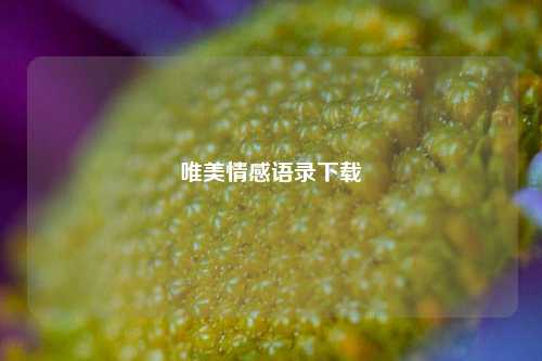 唯美情感语录下载