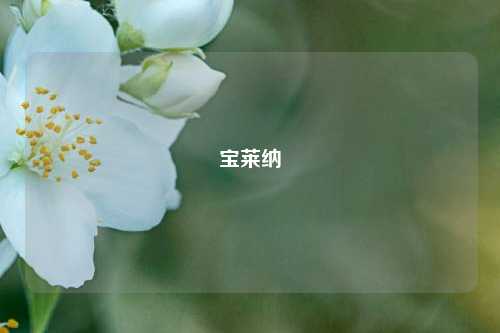 宝莱纳