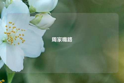 周家嘴路