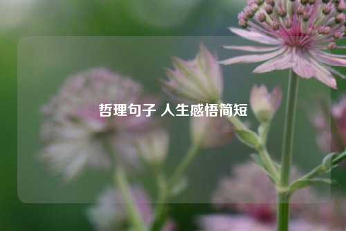 哲理句子 人生感悟简短