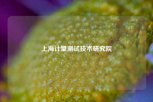 上海计量测试技术研究院
