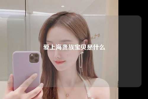 爱上海贵族宝贝是什么