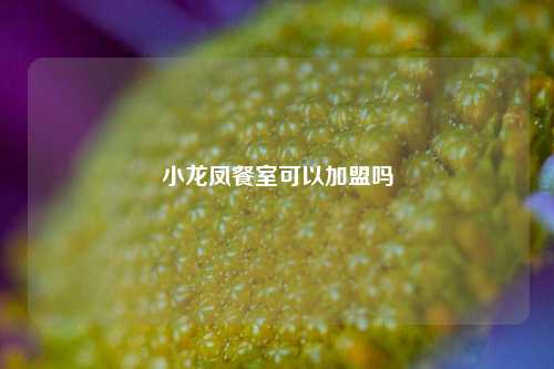 小龙凤餐室可以加盟吗