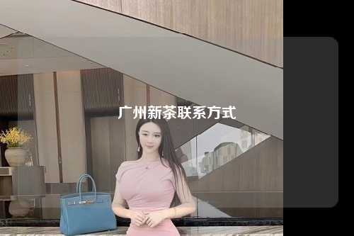 广州新茶联系方式