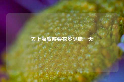 去上海旅游要花多少钱一天