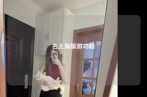 去上海旅游功略
