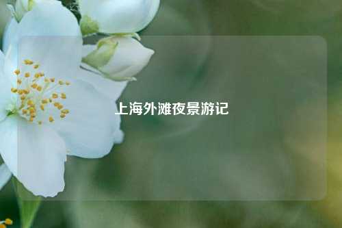 上海外滩夜景游记