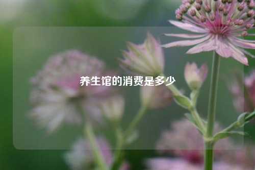 养生馆的消费是多少