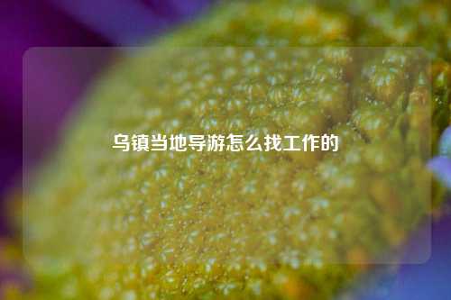 乌镇当地导游怎么找工作的