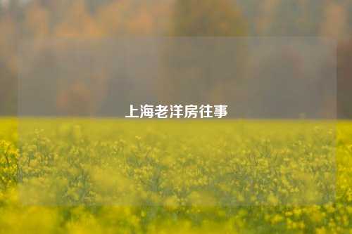 上海老洋房往事