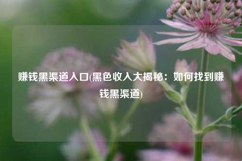 赚钱黑渠道入口(黑色收入大揭秘：如何找到赚钱黑渠道)