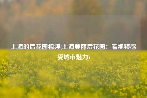 上海的后花园视频(上海美丽后花园：看视频感受城市魅力)