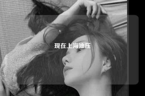 现在上海油压