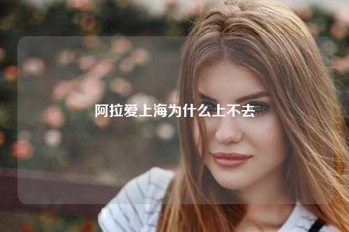 阿拉爱上海为什么上不去