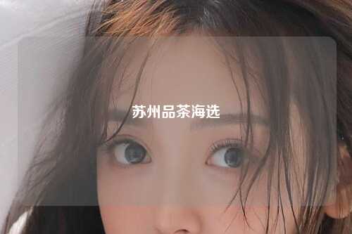苏州品茶海选