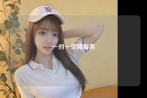 一对一空降服务