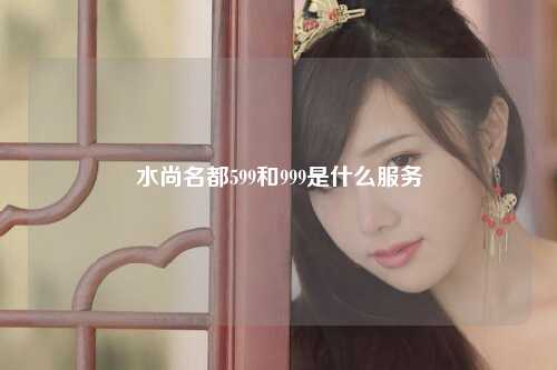 水尚名都599和999是什么服务