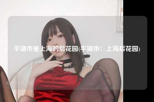 平湖市是上海的后花园(平湖市：上海后花园)