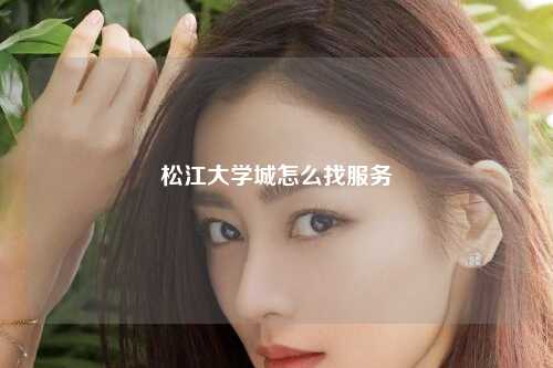 松江大学城怎么找服务