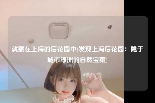 就藏在上海的后花园中(发现上海后花园：隐于城市绿洲的自然宝藏)