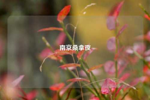南京桑拿夜