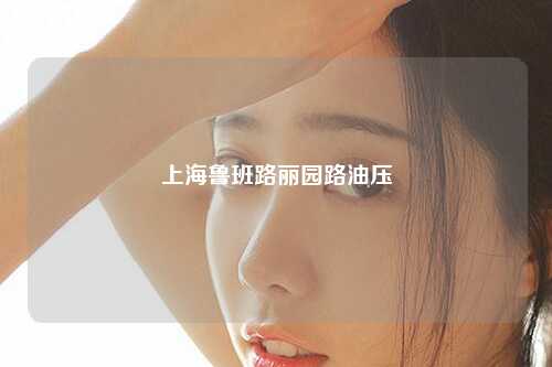 上海鲁班路丽园路油压