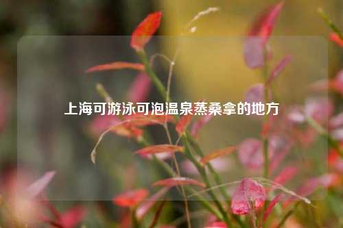 上海可游泳可泡温泉蒸桑拿的地方