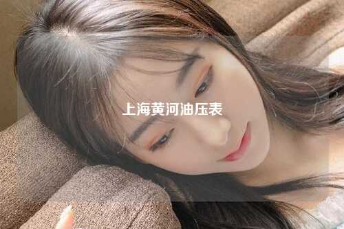 上海黄河油压表