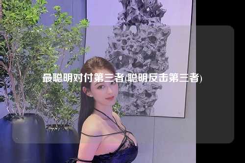 最聪明对付第三者(聪明反击第三者)