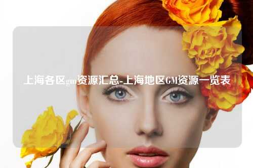 上海各区gm资源汇总-上海地区GM资源一览表