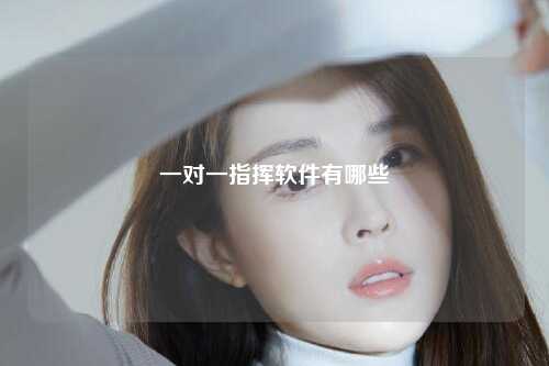 一对一指挥软件有哪些